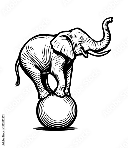 Elephant Balancing on Ball Detailed Black and White Outline Line Art Drawing