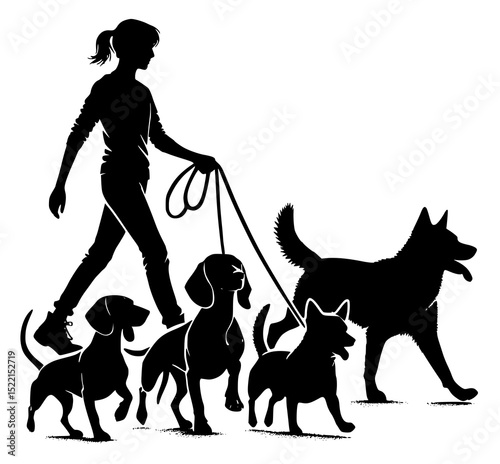 Woman dog walker walking with group of pets, vector graphic silhouette. Transparent PNG version.