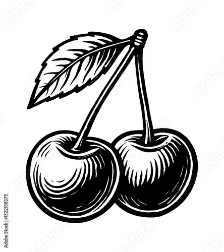 Two Cherries on a Stem with Leaf in Black and White Engraved Illustration Style