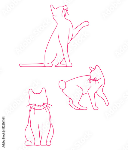 Cats Intro
