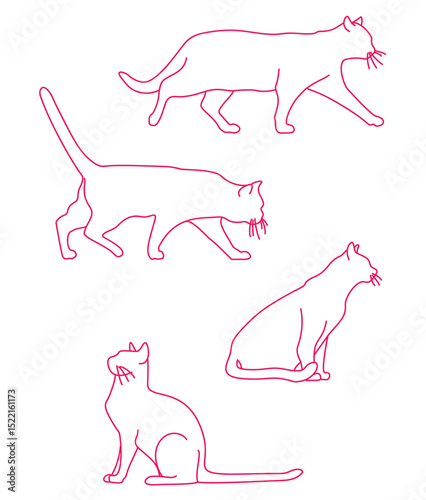  Cats Russian