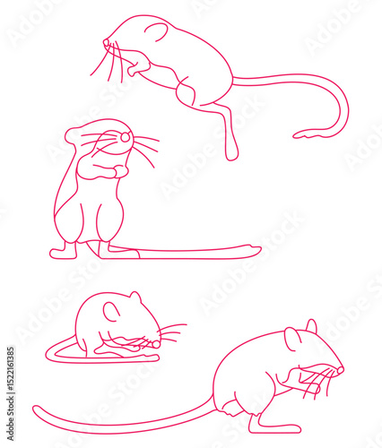 Adobe Illustrator Artwork
