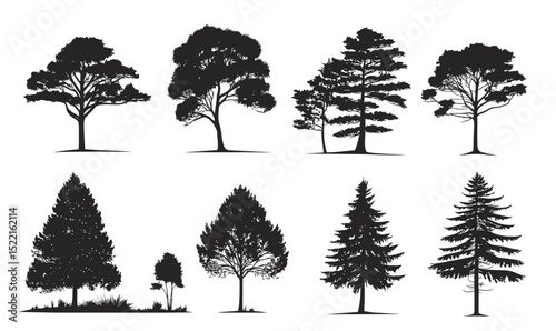 Silhouettes of various tree species including pine, fir, and deciduous trees in a flat minimalist black vector style isolated on white background for nature and forest concepts