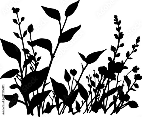 Delicate Wildflower and Grass Silhouette Captures Natural Botanical Essence