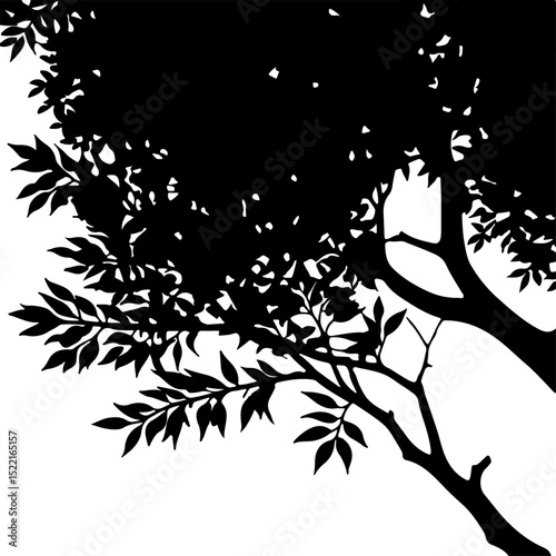 Vibrant Tree Canopy Silhouette Showcases Lush Foliage and Natural Forms.