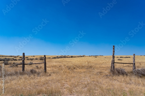 Expansive golden landscape with gate opening to endless fields under a clear blue sky during daylight
