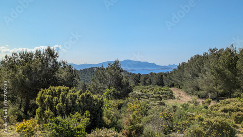 Mediterranean garrigue landscape with pine forest, distant mountains and sea under clear sky. Ensuès-la-Redonne, Ensues-la-Redonne, Bouches-du-Rhône, France, Provence