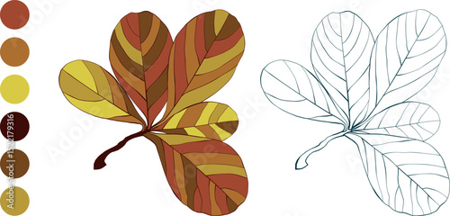 Set of hand-drawn fall colored autumn leaves isolated on white background. Flat and line styles vector illustration.