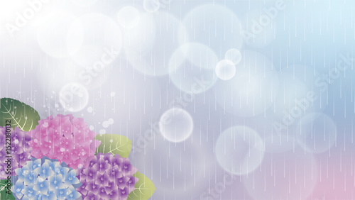 夏の梅雨の紫陽花風景
