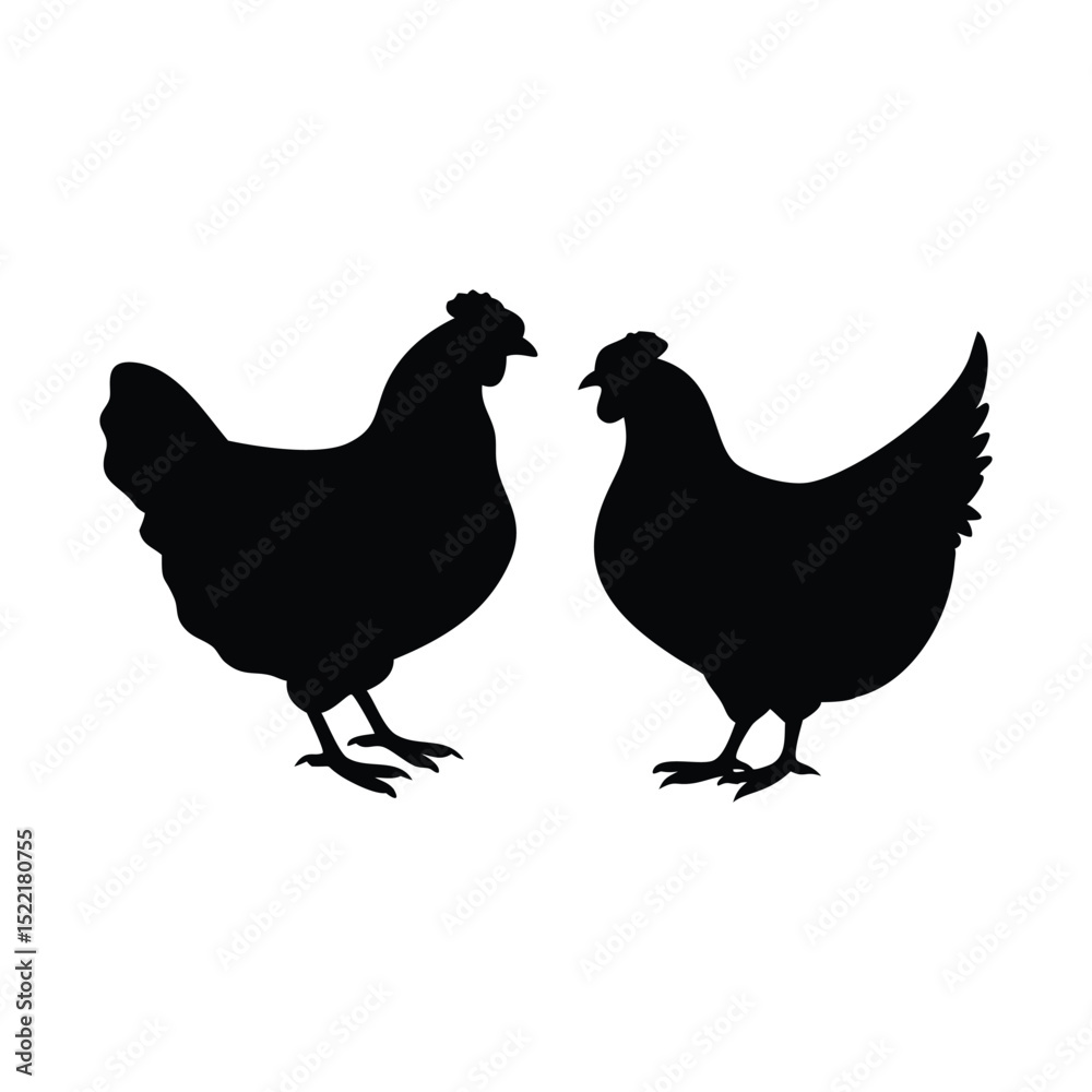 Set of five chicken silhouettes in various poses on white background, farm animal vector illustration Set of five chicken silhouettes in various poses on white background, farm animal vector illustration
