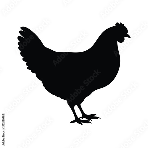 Farm Chicken Silhouette Vector Black and White Hen Illustration for DIY & Print
