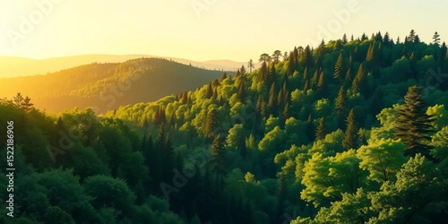 Flat vector illustration of a beautiful horizontal banner depicting a lush green forest landscape at dawn,  banner,  woodland