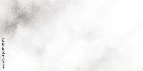 Black and white abstract grunge texture with fog, Abstract elegant grunge white gray abstract grunge texture, Mist Fog and Dust Particles on smoke canvas.