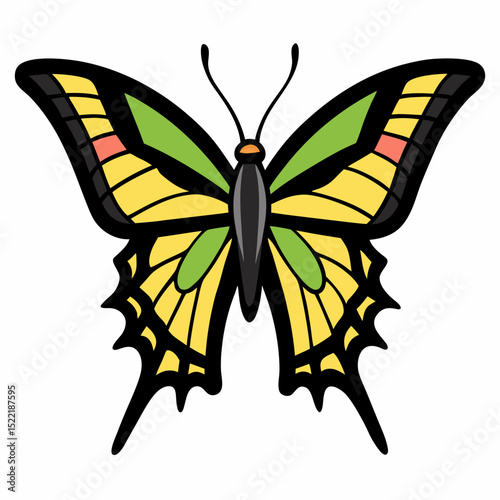 butterfly vector illustration
