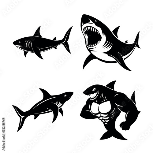 Powerful Shark Illustrations Vector Graphics of Sharks in Various Poses