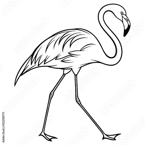 Pink flamingo bird vector illustration, a tropical wildlife silhouette