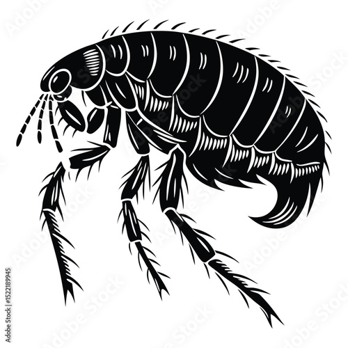 Black spider vector illustration, a tribal insect design for nature art and tattoo