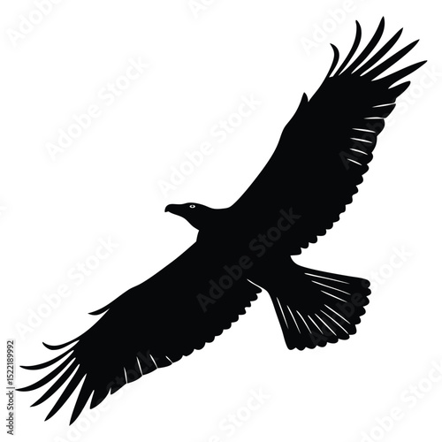 Flying eagle silhouette vector illustration with outstretched wings, a symbol of wild nature and freedom in flight