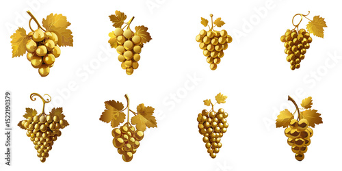 Multiple vector illustrations golden grape

