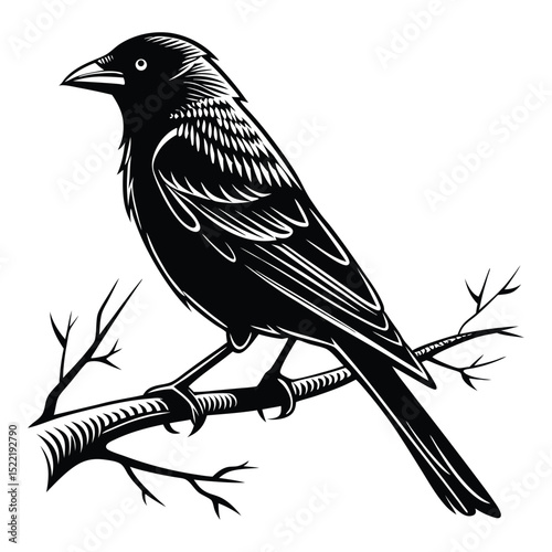 Black vector silhouette of a wild bird with a feather wing and beak on a tree branch, an illustration of a crow or raven in nature