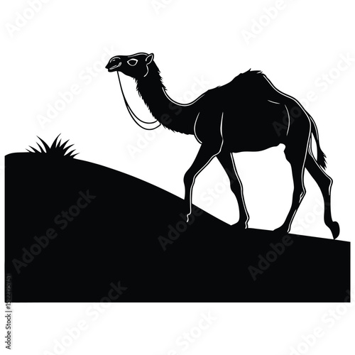 Silhouetted against a desert sunset, a wild Arabian dromedary camel with its distinctive hump traverses the vast sand dunes