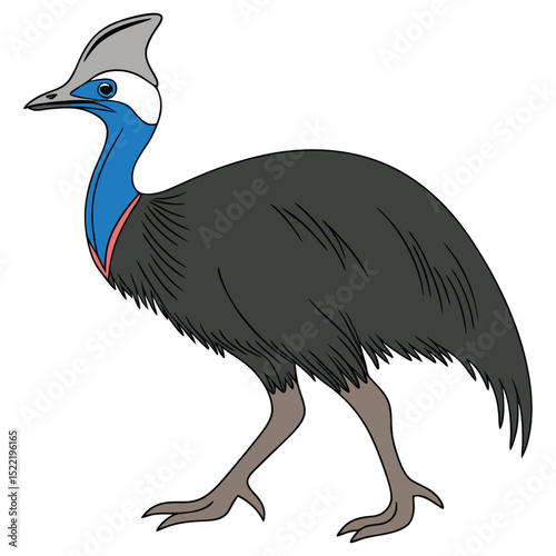 Cartoon ostrich vector illustration with prominent beak and feather details, capturing the essence of a wild bird in nature