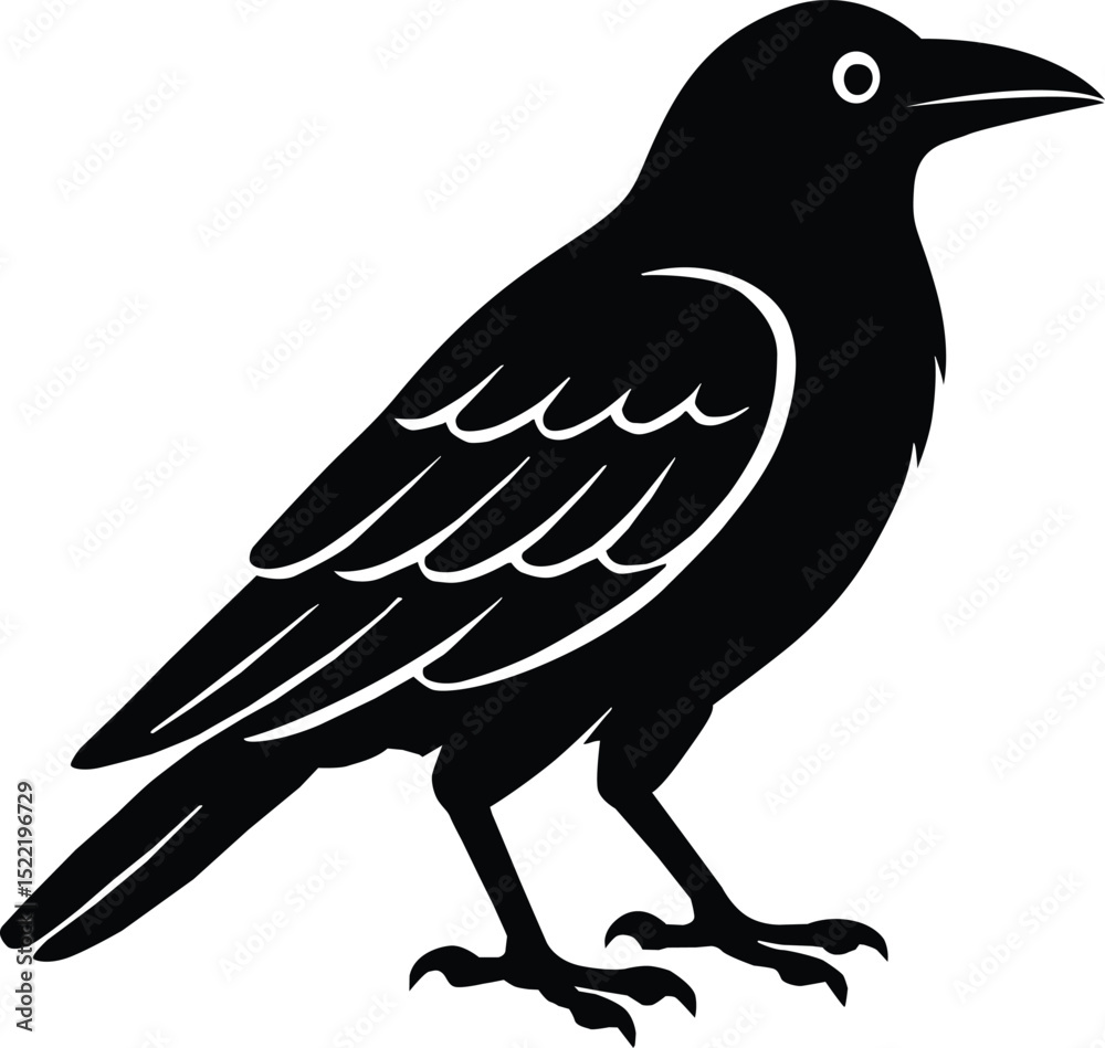 custom made wallpaper toronto digitalCrow cartoon icon. A crow illustration on white background. Black raven bird sign. flat style.