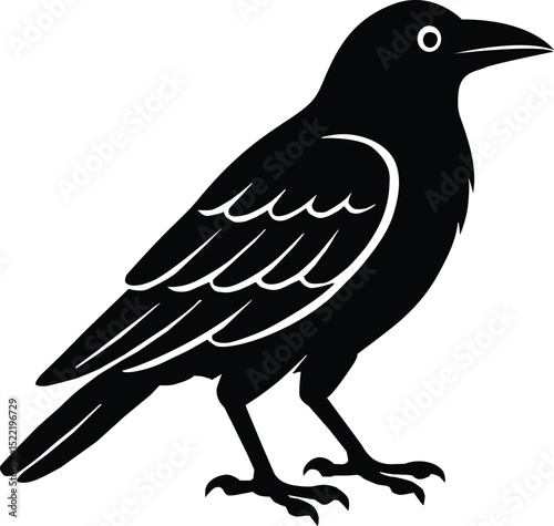 Crow cartoon icon. A crow illustration on white background. Black raven bird sign. flat style.