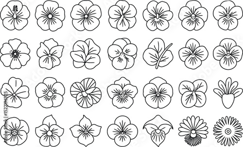 Outlined assortment of various flower designs isolated on white background
