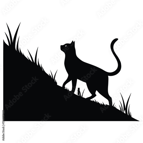 Would you like me to generate the image as well?