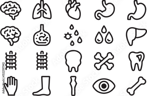 Medical organs line icon set. Vector pictograms of anatomy, body parts, kidney, bladder, pancreas, intestine, thyroid, pelvis, skeleton, joint, hand, nose, mouth, tongue, thin linear icon illustration