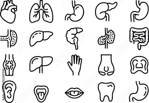 Medical organs line icon set. Vector pictograms of anatomy, body parts, kidney, bladder, pancreas, intestine, thyroid, pelvis, skeleton, joint, hand, nose, mouth, tongue, thin linear icon illustration