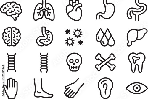 Medical organs line icon set. Vector pictograms of anatomy, body parts, kidney, bladder, pancreas, intestine, thyroid, pelvis, skeleton, joint, hand, nose, mouth, tongue, thin linear icon illustration