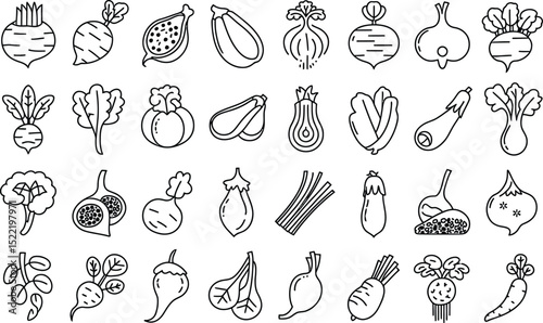 Variety of vegetables and fruits line art collection food icons