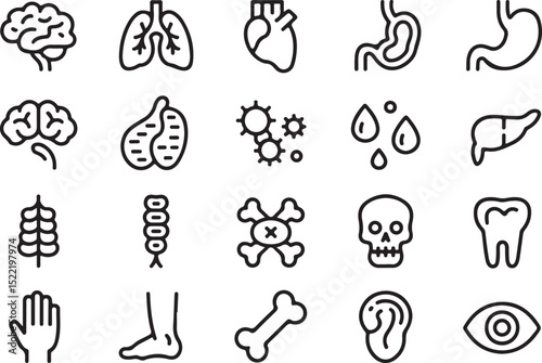 Medical organs line icon set. Vector pictograms of anatomy, body parts, kidney, bladder, pancreas, intestine, thyroid, pelvis, skeleton, joint, hand, nose, mouth, tongue, thin linear icon illustration