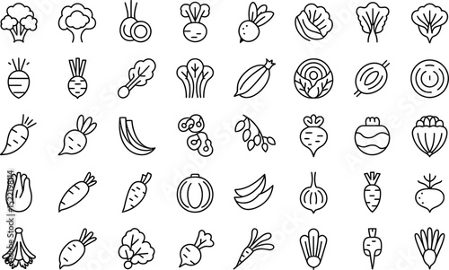 Minimalist outline vegetable icon set fresh produce and healthy food symbol collection