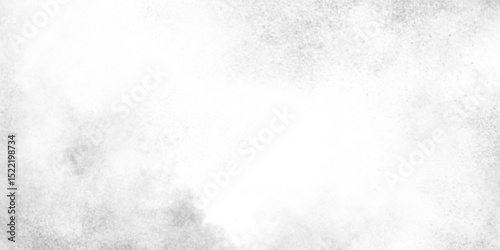Black and white abstract grunge texture with fog, Abstract elegant grunge white gray abstract grunge texture, Mist Fog and Dust Particles on smoke canvas.