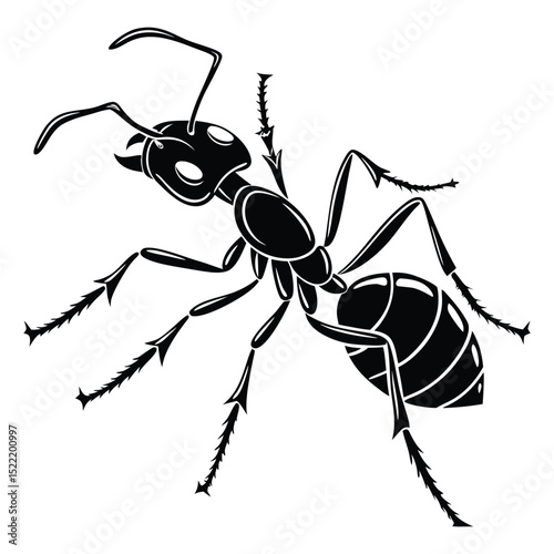 A tiny black ant, a common insect pest, is isolated on a clean white background, showcasing its delicate antenna, legs, and jaw in a detailed macro close-up