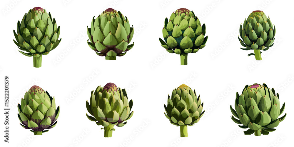 Obraz premium Multiple vector illustrations artichoke