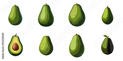 Multiple vector illustrations avocado

