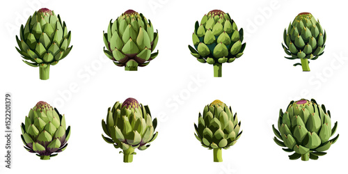 Multiple vector illustrations artichoke

