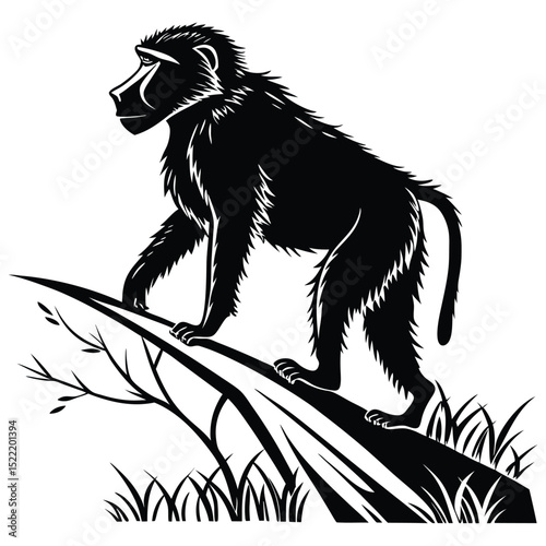 Baby baboon with green head and black fur sitting in the wild nature, a unique animal vector illustration