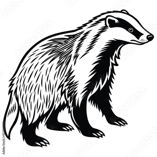 Cute hand-drawn black bear cub vector illustration with shaggy fur, isolated on white