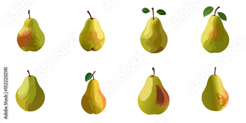 Multiple vector illustrations pear

