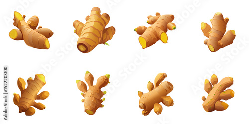 Multiple vector illustrations ginger

