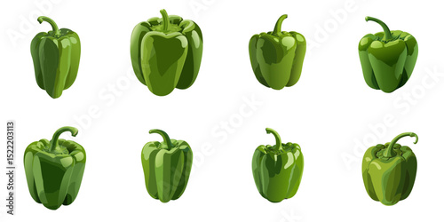Multiple vector illustrations green bell pepper

