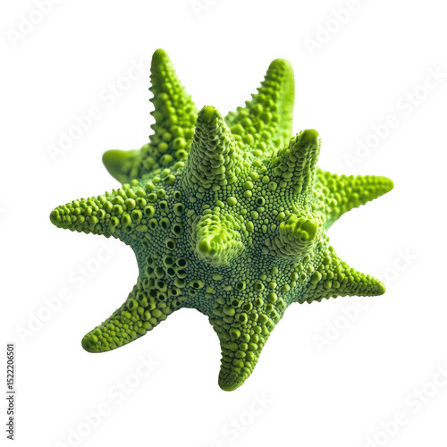 Green star shaped virus 3d render isolated on transparent background