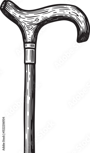 Elegant woodcut drawing of a classic wooden walking stick design