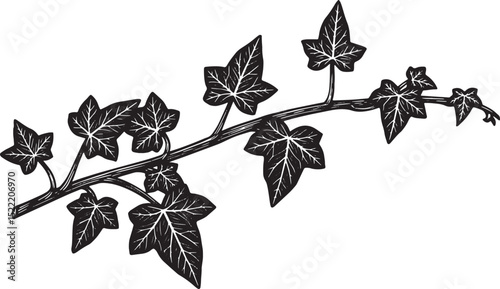Detailed Black and White Woodcut Illustration of a Twisting Ivy