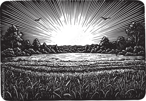Tranquil black and white woodcut illustration of a serene sunris